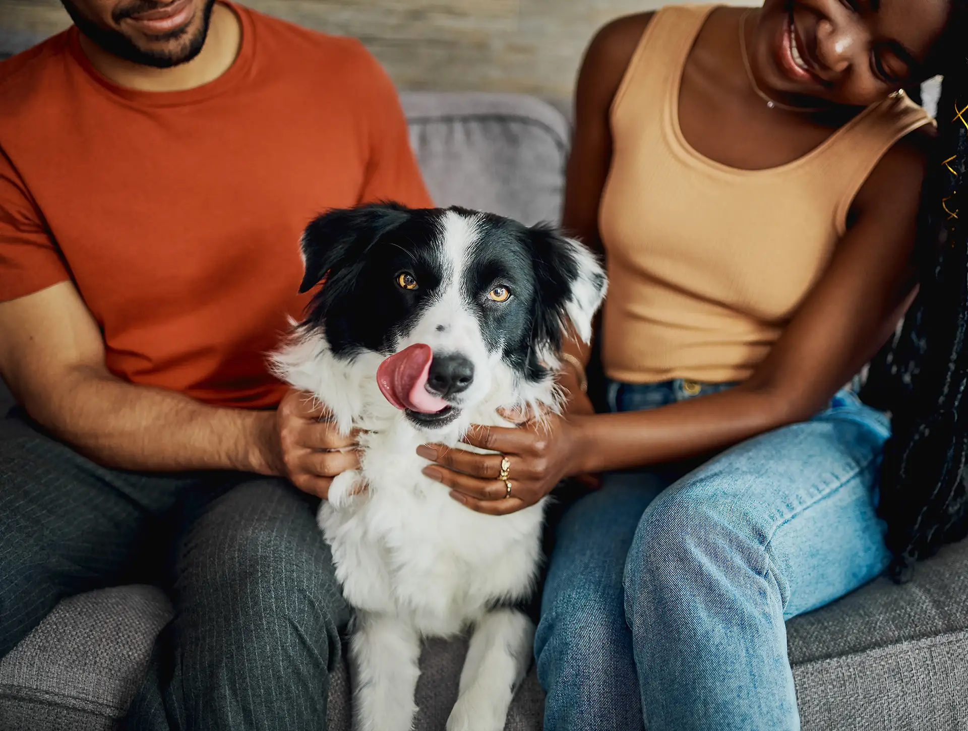 A black and white dog sits on a couch between two people petting it, with a wood-look table behind them. The group looks happy.